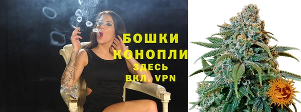 сатива Нягань