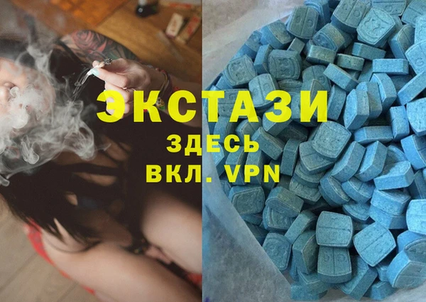 дживик Няндома