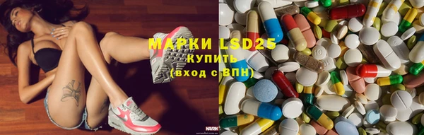 дживик Няндома