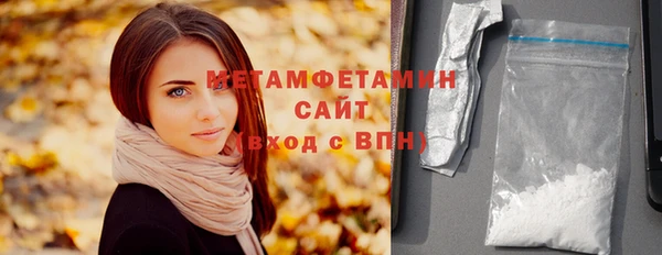 дживик Няндома