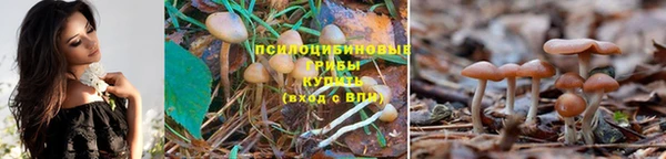 spice Нязепетровск