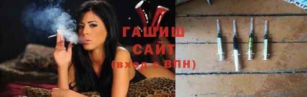 дживик Няндома