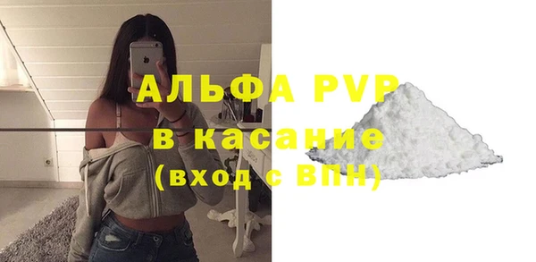 дживик Няндома