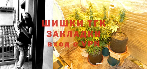 дживик Няндома