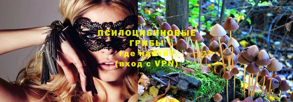 МДПВ Осинники