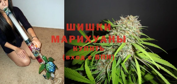 сатива Нягань