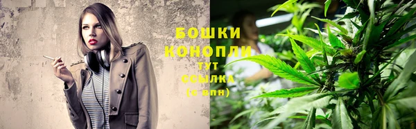 МДПВ Осинники