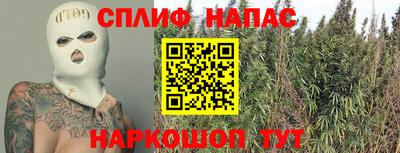 гидра Бийск